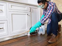 Best Real Estate Pest Inspections  in Perry, MI